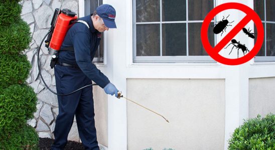 Kozbeyli Hamam Böceği İlaçlama böcek ilaçlama ve haşere kontrolü — ilaclama-tr.com